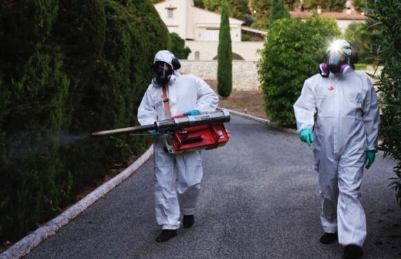 Alerte dengue : une épidémie sur le point de se déclencher en France à quelques semaines des Jeux Olympiques